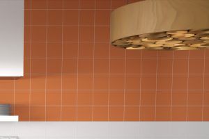 Rainbow orange